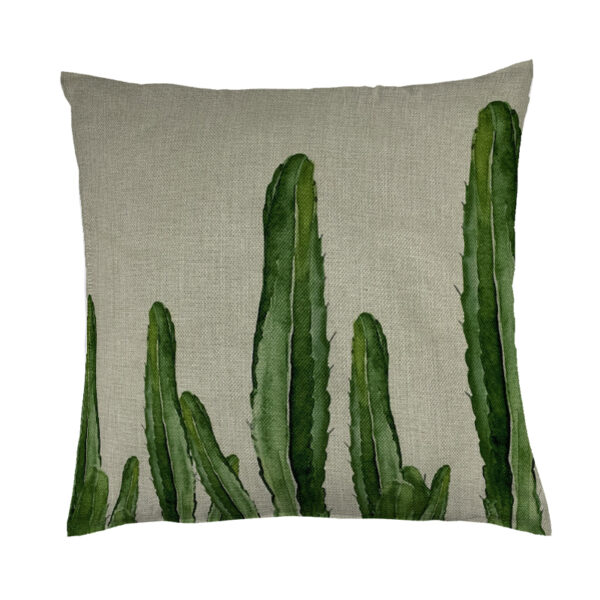 Cuscino cactus