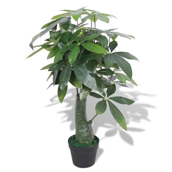 Pachira artificiale H160cm