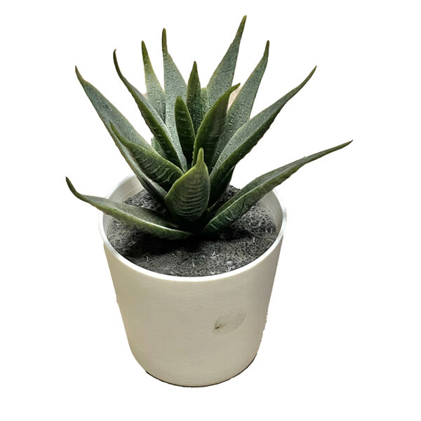 Piantina  grassa artificiale con vaso in ceramica H17cm