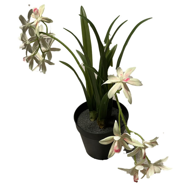 Orchidea artificiale H35cm