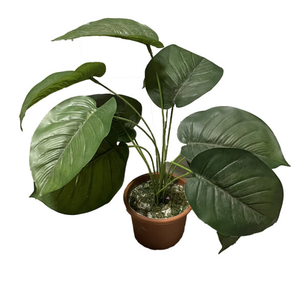 Monstera artificiale H35 cm