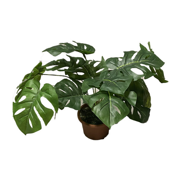 Monstera artificiale H35 cm