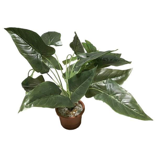 Filodendro artificiale H40 cm