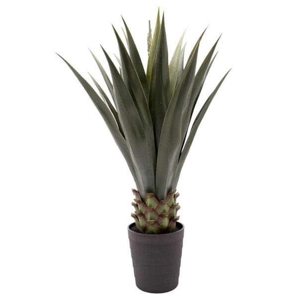 Pianta di agave artificiale H100cm