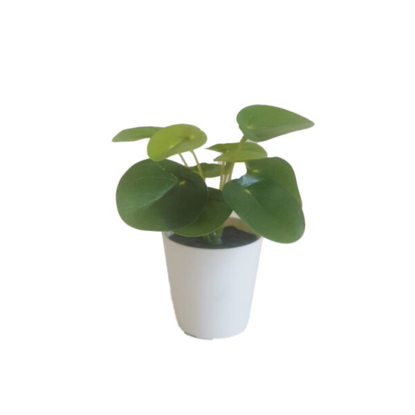 Pilea artificiale in vaso di ceramica bianco