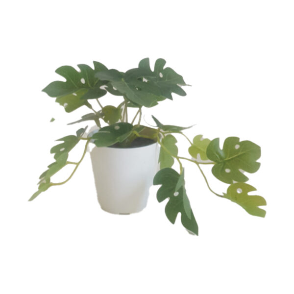 Monstera minima artificiale in vaso di ceramica bianco