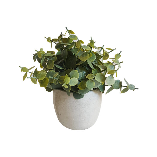 Piantina artificiale in vaso di ceramica bianco H18cm