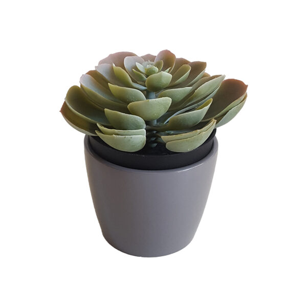 Piantina  grass artificiale in vaso grigio H13cm