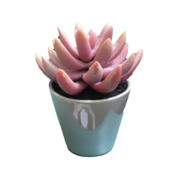 Piantina grassa rosa artificiale