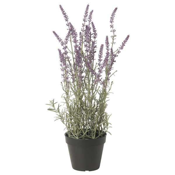 Lavanda artificiale