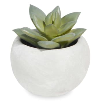 Piantina  grassa artificiale con vaso in ceramica H7cm