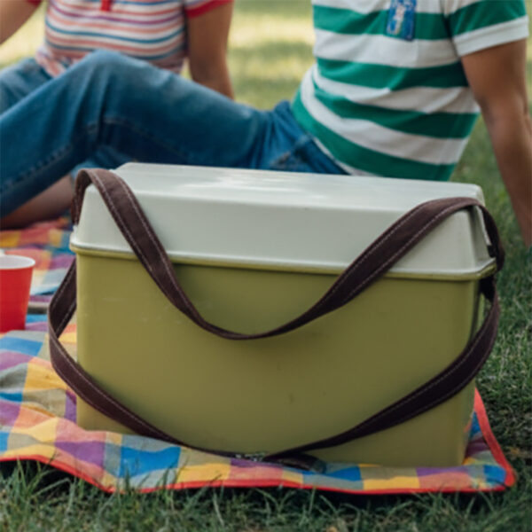 Borsa porta pic nic in plastica verde con cinta marrone