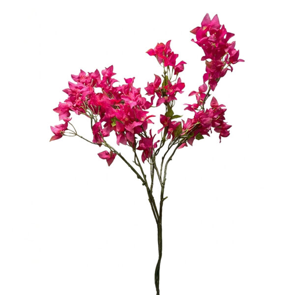 Bougainville artificiale