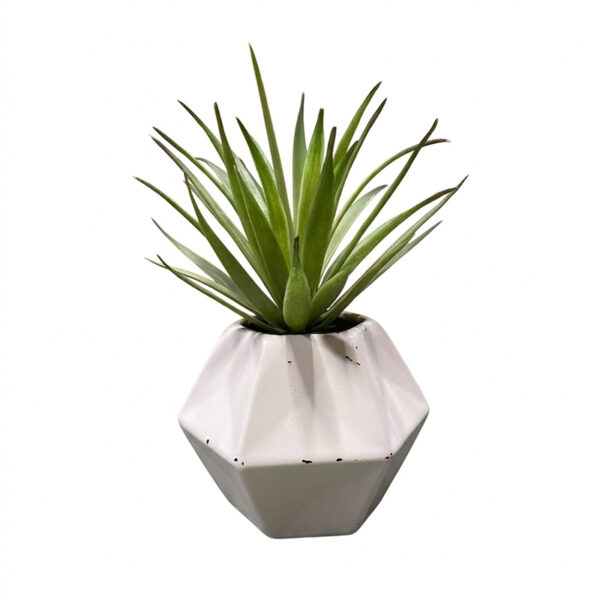 Agave artificiale piccola